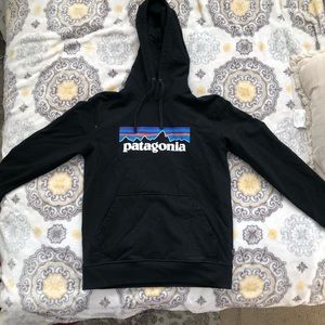 Patagonia Hoodie
